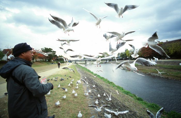 《老鷹想飛》飛出全台近千萬票房