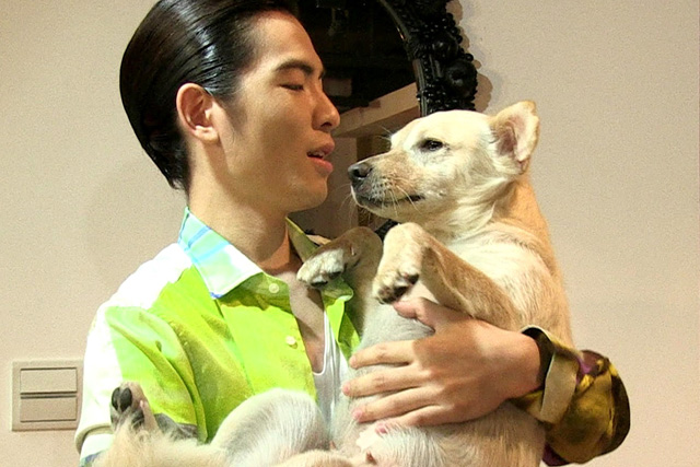 眾星力挺【十二夜】 蕭敬騰、蔡健雅、范曉萱聯合呼籲養牠不要棄養牠