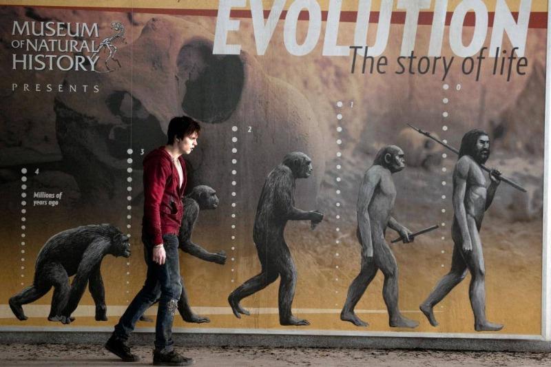 關於殭屍哪有這麼帥