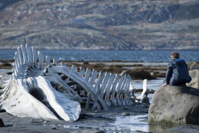 2014坎城影展競賽片《Leviathan》(暫譯：纏繞之蛇) 謎樣的俄羅斯導演Zvyagintsev，坎城影展小故事！
