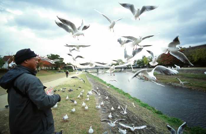 《老鷹想飛》耗時23年 吳念真獻聲相挺