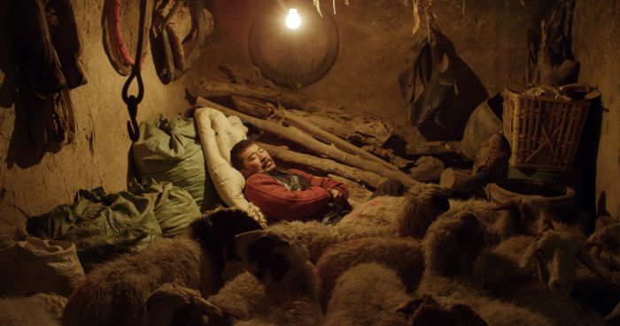 【一個勺子】陳建斌一改形象自導自演，羊圈為床、翻牆躲藏度日、以肉搏命演出