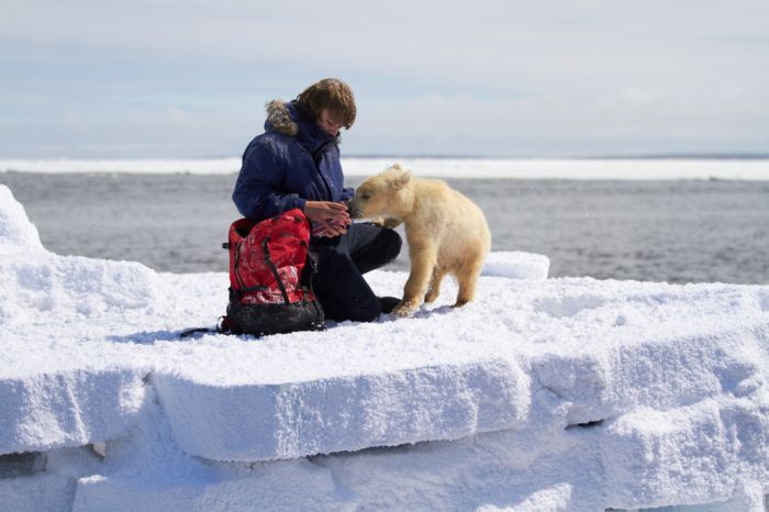 全片盡收北極熊生態及冰原絕美之景  欲喚醒大眾環保意識 